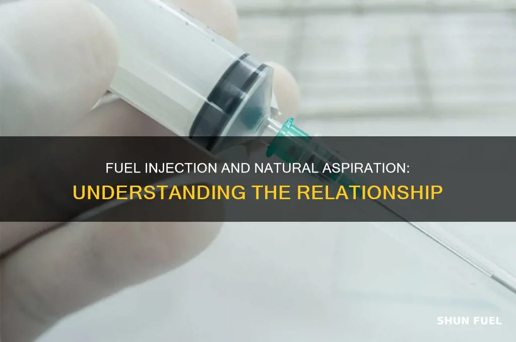 is fuel injection naturally aspirated