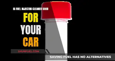 Fuel Injector Cleaner: Car Maintenance Essential?
