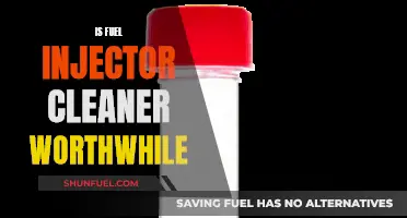 Fuel Injector Cleaner: Worth the Cost?