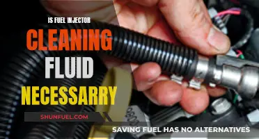 Fuel Injector Cleaning Fluid: Necessary Maintenance or Useless?