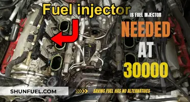 Fuel Injector Maintenance: Necessary at 30,000 Miles?