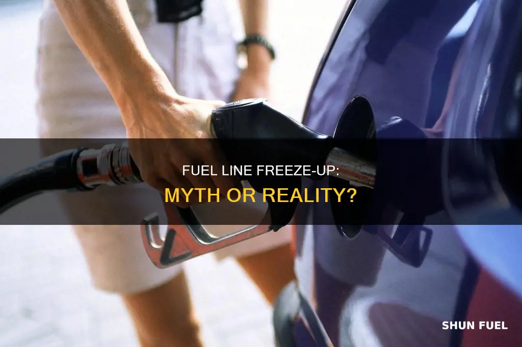 is fuel line freeze up a myth