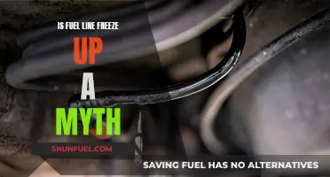 Fuel Line Freeze: Myth or Reality?
