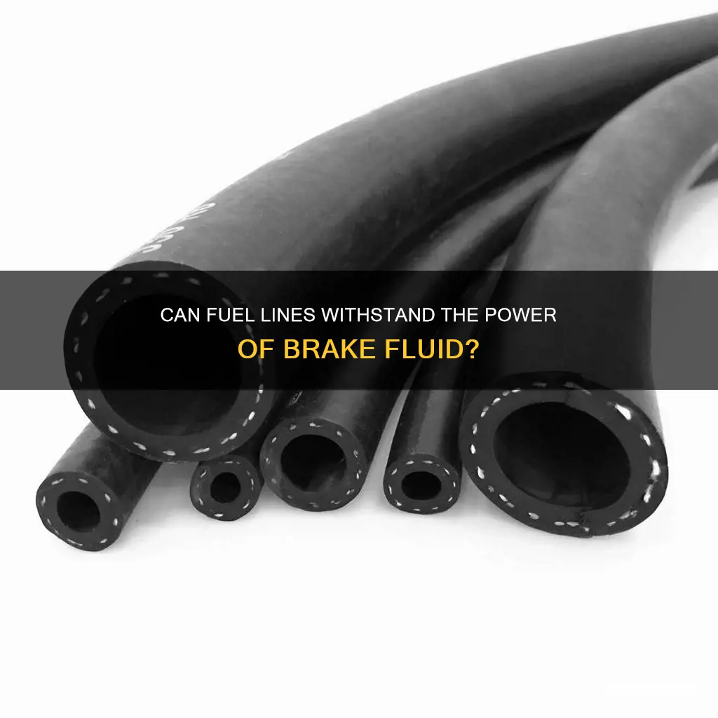 is fuel line resistant to brake fluid