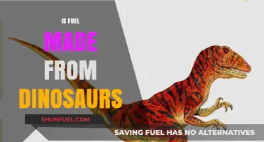 Debunking the Myth: Is Fuel Really Made from Dinosaurs?