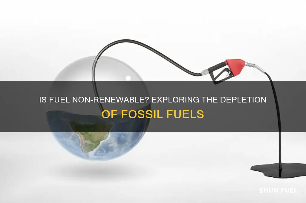 is fuel non renewable