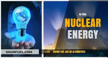 Is Fuel Nuclear Energy the Future of Sustainable Power?