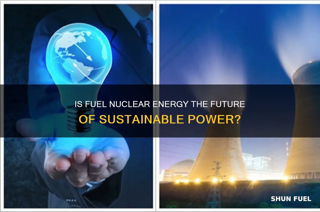 is fuel nuclear energy