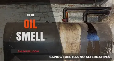 Understanding the Causes and Risks of Fuel Oil Smell in Homes