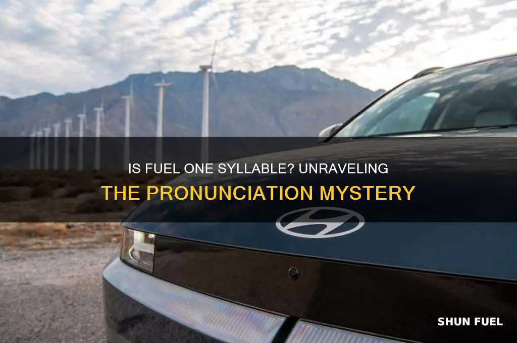 is fuel one syllable