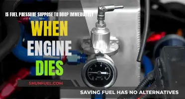 Fuel Pressure Drop: Instant or Gradual When Engine Dies?