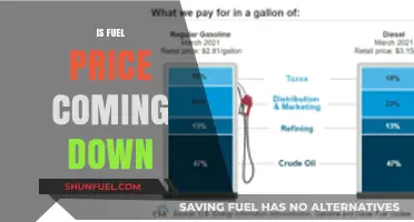 Will Fuel Prices Drop Soon? Analyzing Trends and Predictions for Relief
