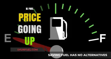 Rising Fuel Costs: What’s Driving the Price Hike and What’s Next?