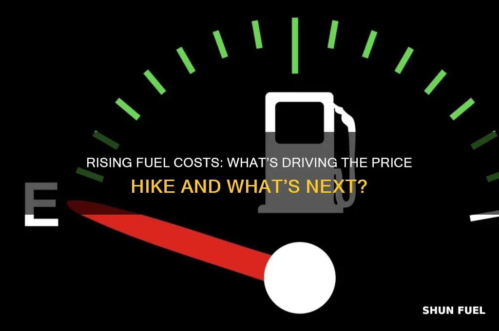 is fuel price going up