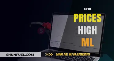Why Are Fuel Prices So High in Machine Learning Models?