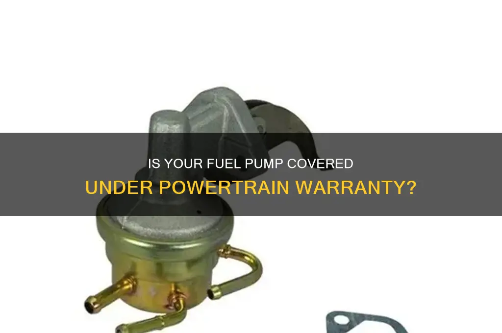 is fuel pump covered under powertrain warranty