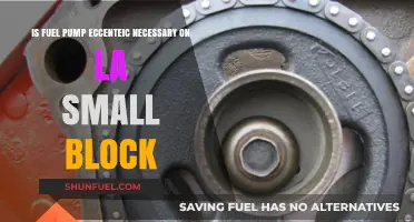 Is a Fuel Pump Eccentric Necessary for LA Small Block Engines?
