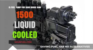 Is the 1999 Dodge Ram 1500 Fuel Pump Liquid Cooled?