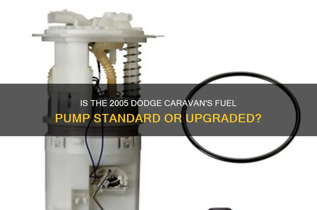 is fuel pump for dodge caravan 2005 standard