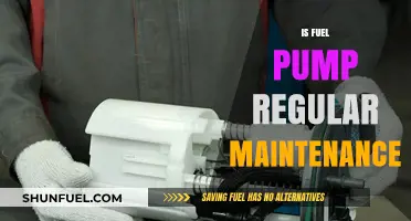 Essential Fuel Pump Maintenance Tips for Optimal Vehicle Performance