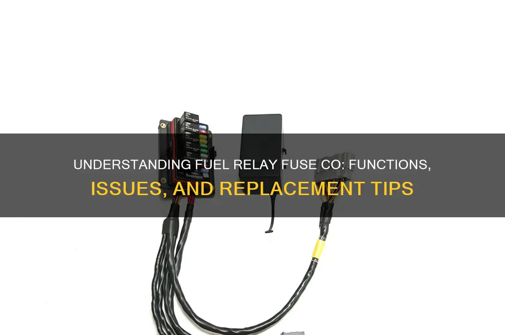 is fuel relay fuse co