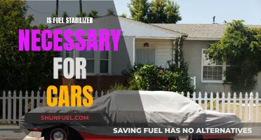 Fuel Stabilizer: Necessary Car Maintenance or Unnecessary Cost?