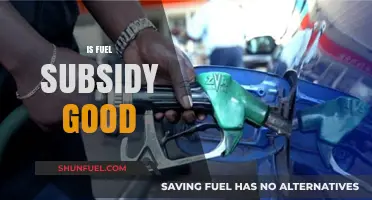 Is Fuel Subsidy Beneficial? Exploring Pros, Cons, and Economic Impact