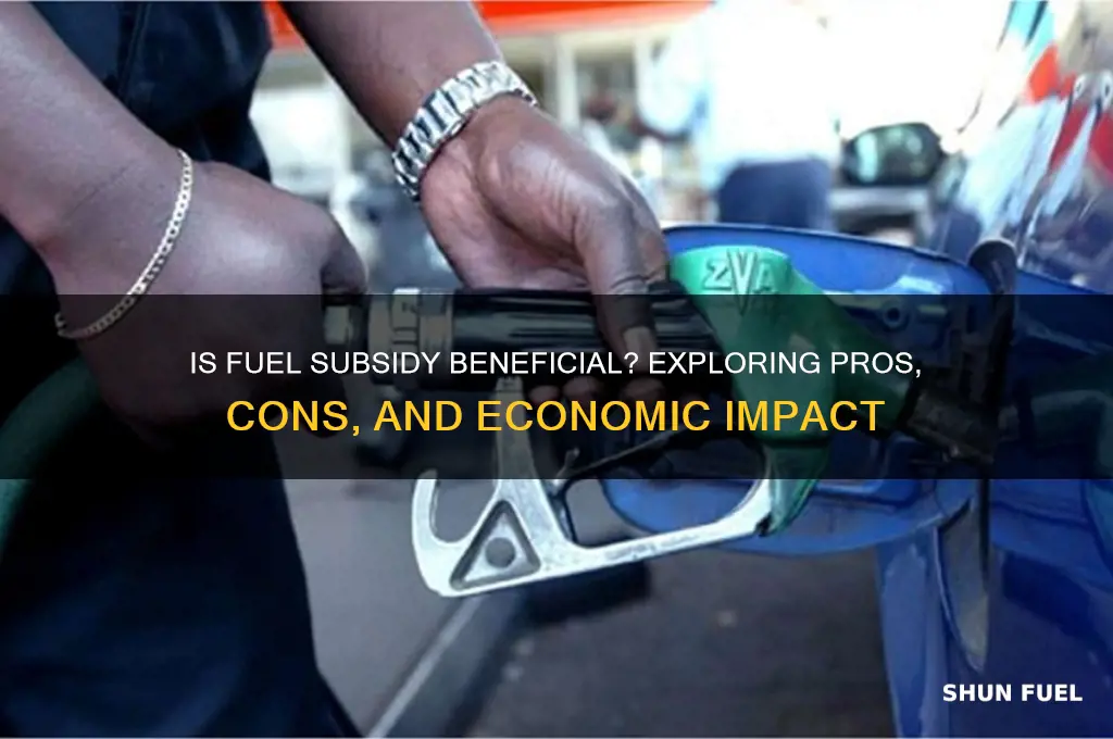 is fuel subsidy good