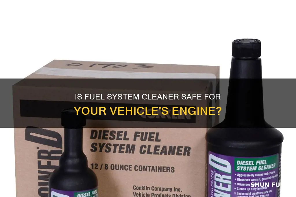is fuel system cleaner safe