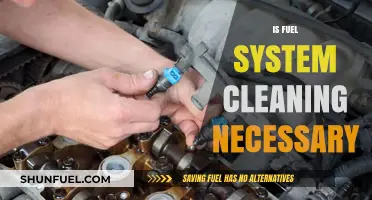 Is Fuel System Cleaning Necessary? Debunking Myths and Facts