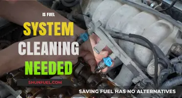 Is Fuel System Cleaning Necessary for Your Vehicle's Performance?