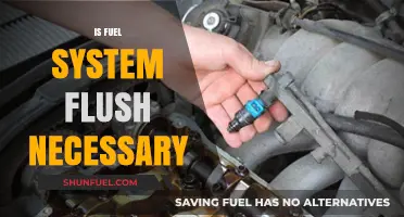 Is a Fuel System Flush Necessary for Your Vehicle's Performance?