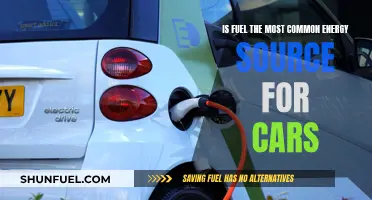 Fuel: The Dominant Energy Source for Cars?