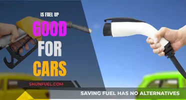 Fuel Up: Friend or Foe for Cars?