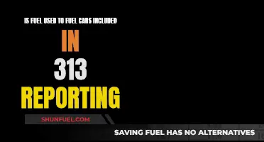 Fuel for Cars: Is It Covered by 313 Reporting?