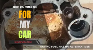 Ethanol in Fuel: Friend or Foe for Your Car?