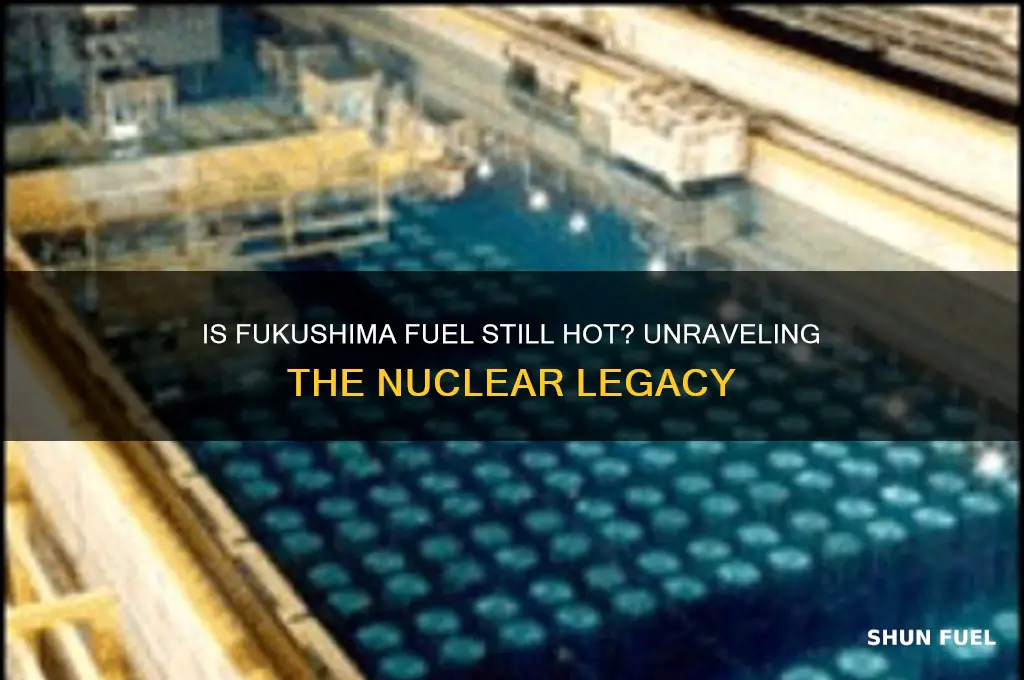 is fukushima fuel still hot