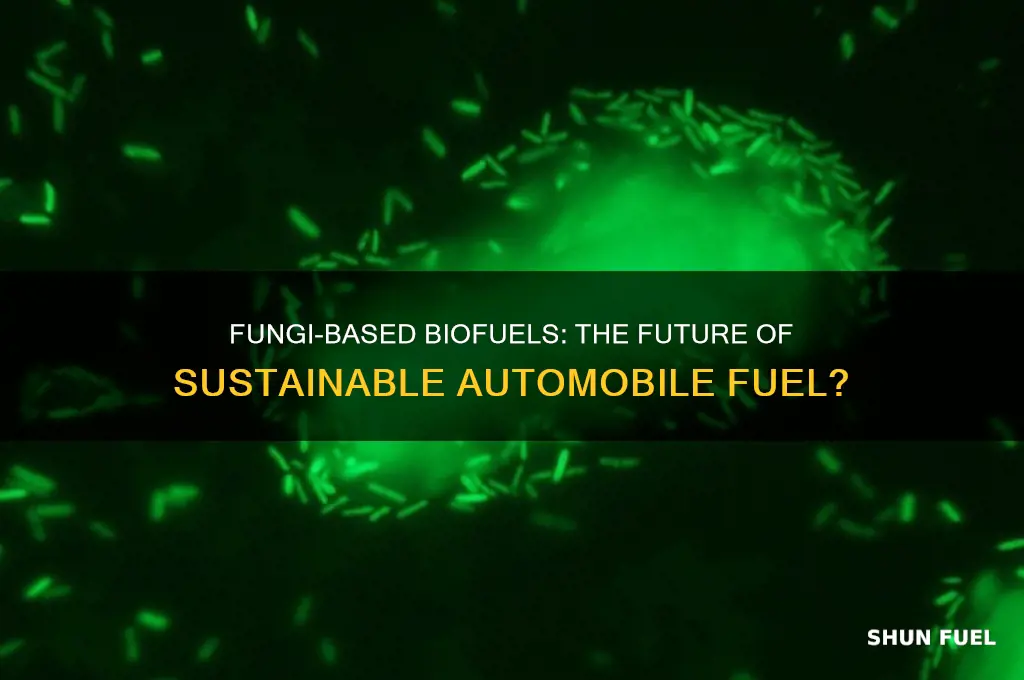 is fungi used to fuel some automobiles