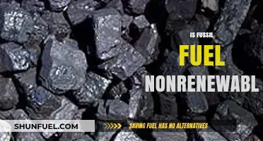 Fossil Fuels: Understanding Their Nonrenewable Nature and Future Implications