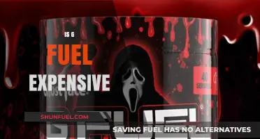 Is G Fuel Worth the Price? A Cost Analysis