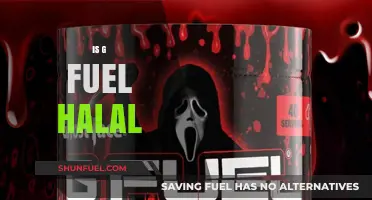 Is G Fuel Halal? Exploring Ingredients and Certification for Muslims