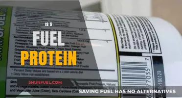 Is G Fuel a Protein Source? Uncovering the Truth About Its Ingredients