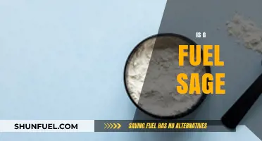 Is G Fuel Safe? Exploring Ingredients, Effects, and Health Concerns