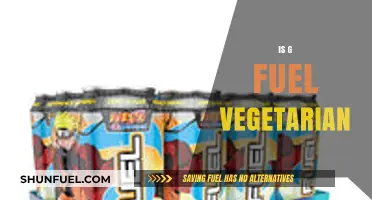 Is G Fuel Vegetarian? Exploring Ingredients and Dietary Compatibility