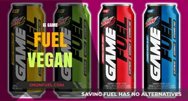 Is Game Fuel Vegan? Uncovering the Truth About Its Ingredients