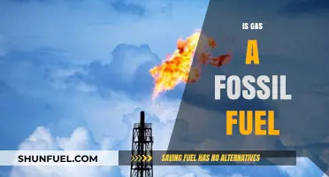 Gas: Fossil Fuel or Not?