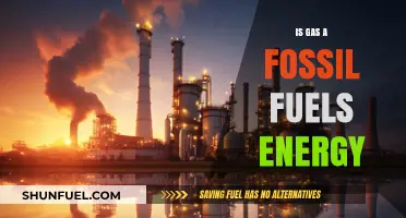 Gas and Fossil Fuels: What's the Connection?
