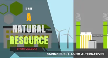 Exploring the Origins and Sustainability of Gas as a Natural Resource