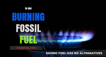 Gas: Fossil Fuel's Burning Question