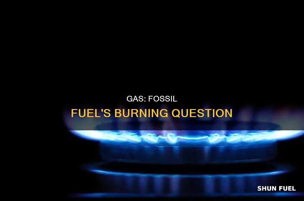 is gas burning fossil fuel